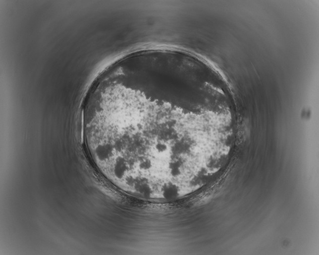 X0000095511223200801111406