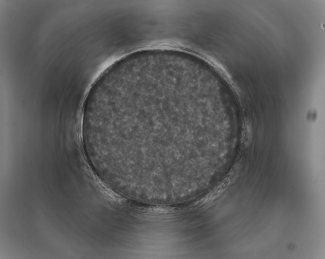 X0000095511224200801111406
