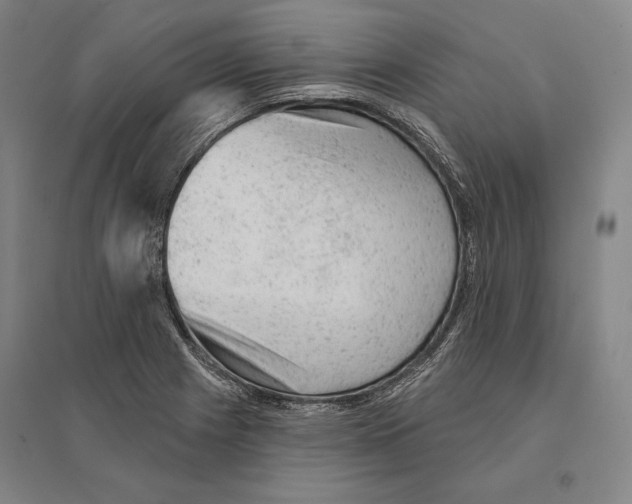 X0000095511225200801111406