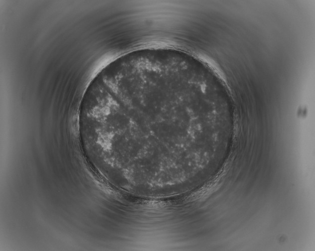 X0000095511226200801111406