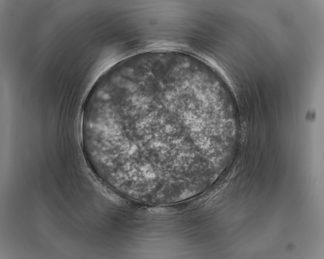 X0000095511227200801111406