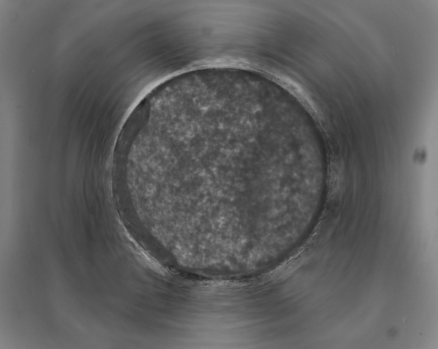 X0000095511228200801111406