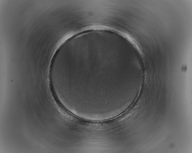 X0000095511229200801111406