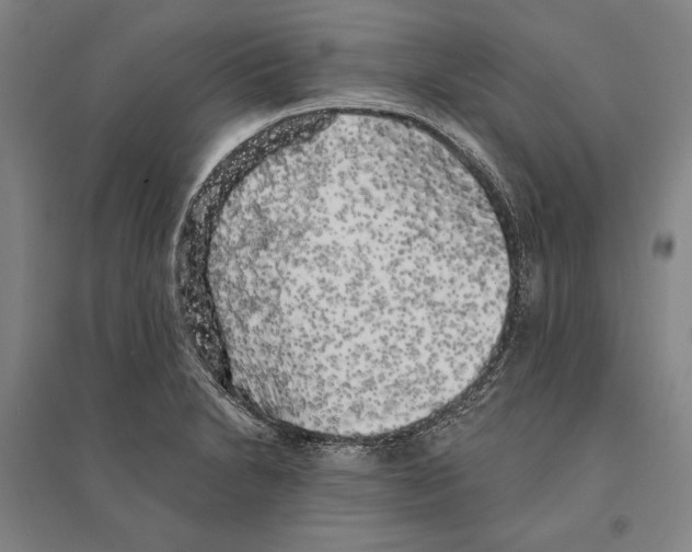 X0000095511230200801111406