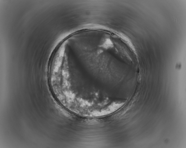 X0000095511231200801111406