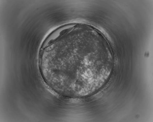X0000095511232200801111406