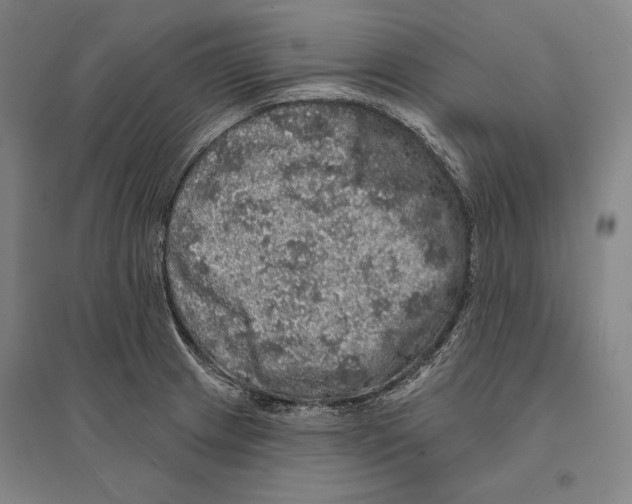 X0000095511233200801111406