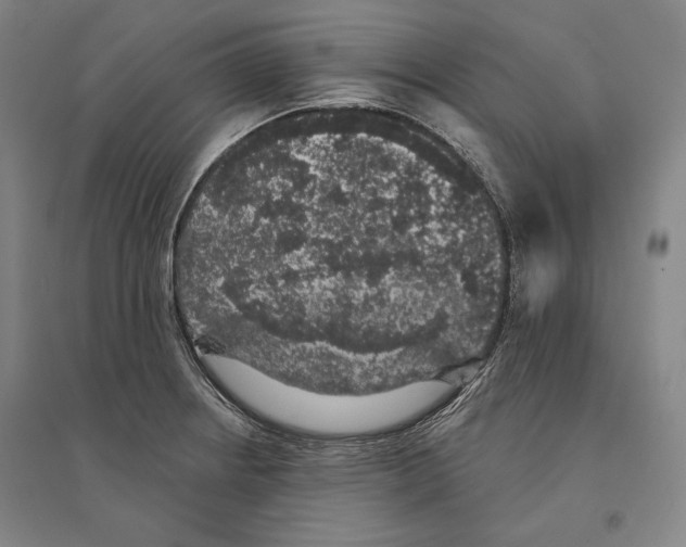 X0000095511234200801111406