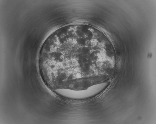 X0000095511235200801111406
