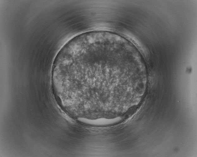 X0000095511236200801111406
