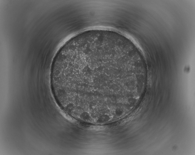 X0000095511237200801111406