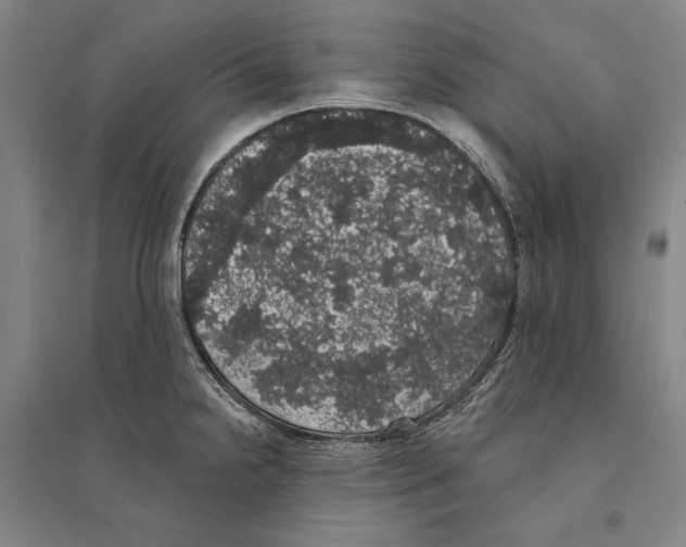 X0000095511238200801111406