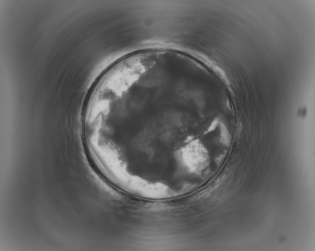 X0000095511239200801111406