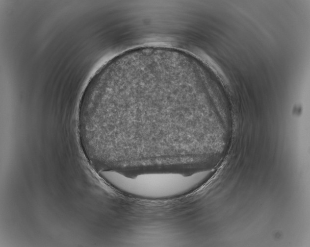 X0000095511240200801111406