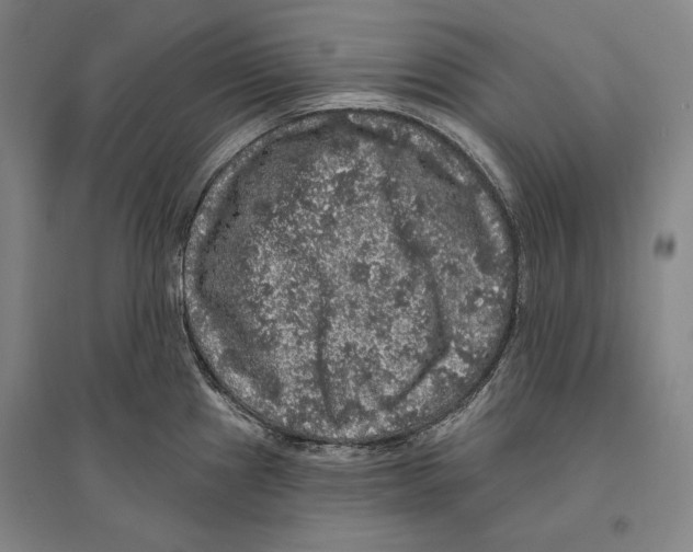 X0000095511241200801111406