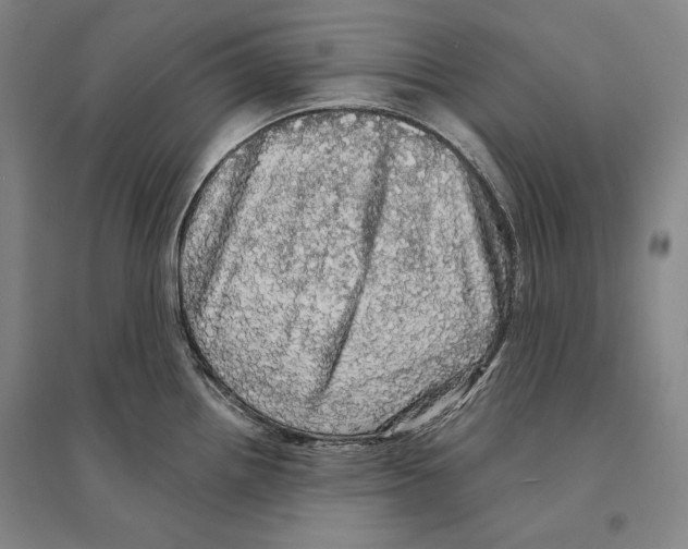 X0000095511242200801111406