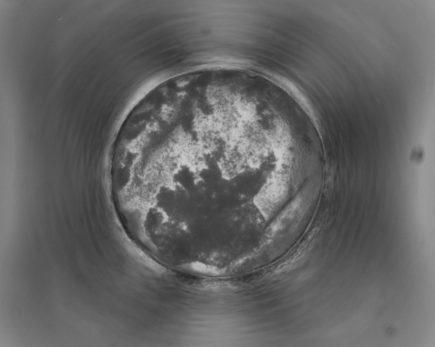 X0000095511243200801111406