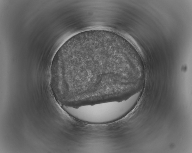X0000095511244200801111406