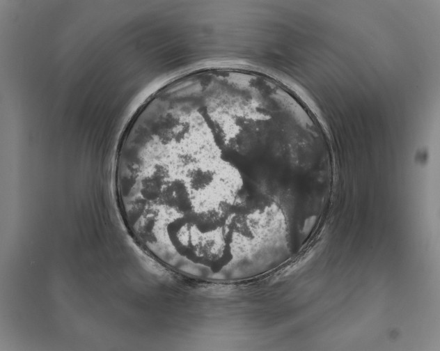 X0000095511245200801111406