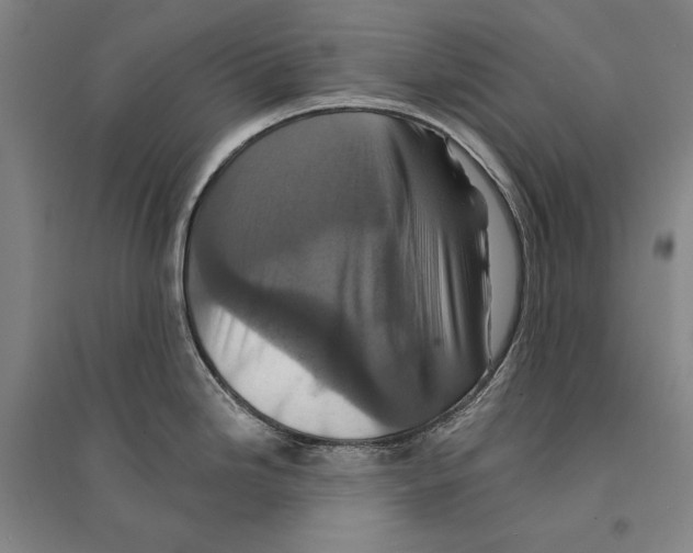X0000095511246200801111406