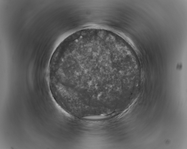 X0000095511247200801111406
