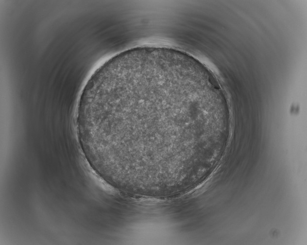 X0000095511248200801111406