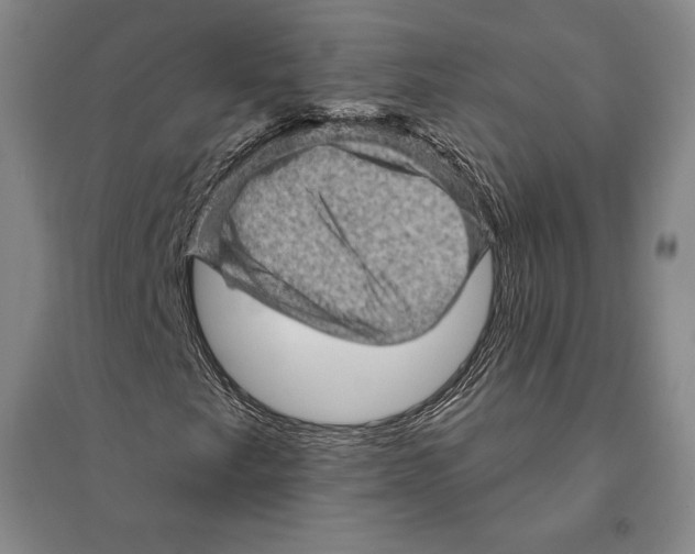X0000095511249200801111406