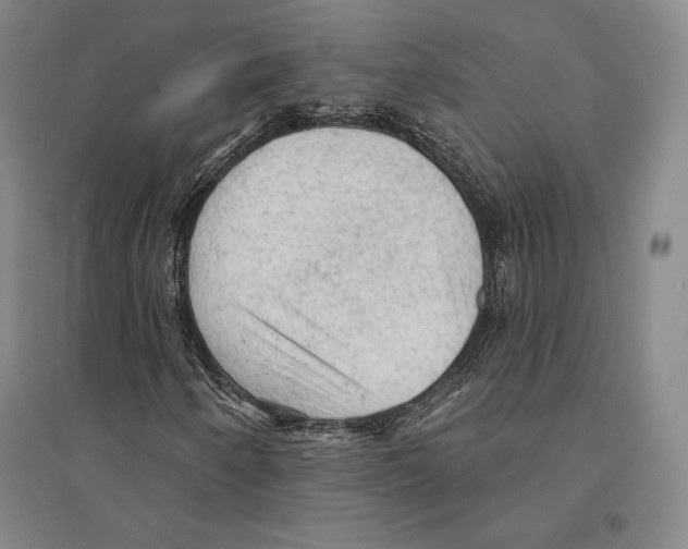 X0000095511250200801111405