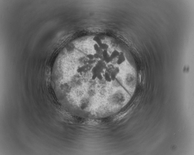 X0000095511251200801111405