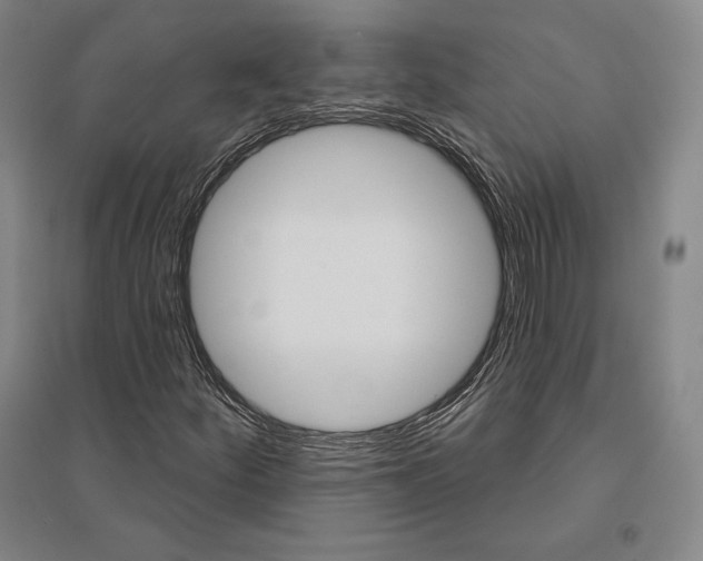 X0000095511252200801111405