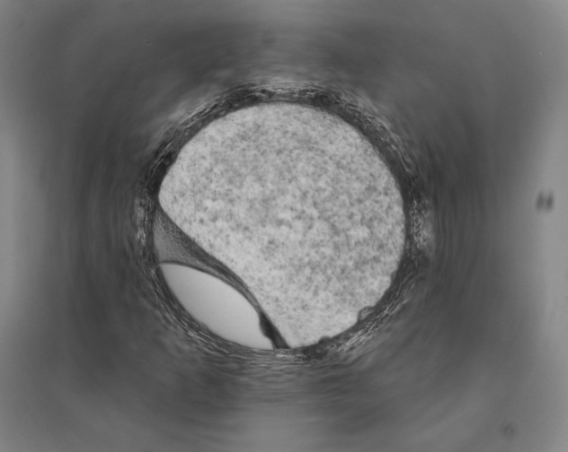 X0000095511253200801111405