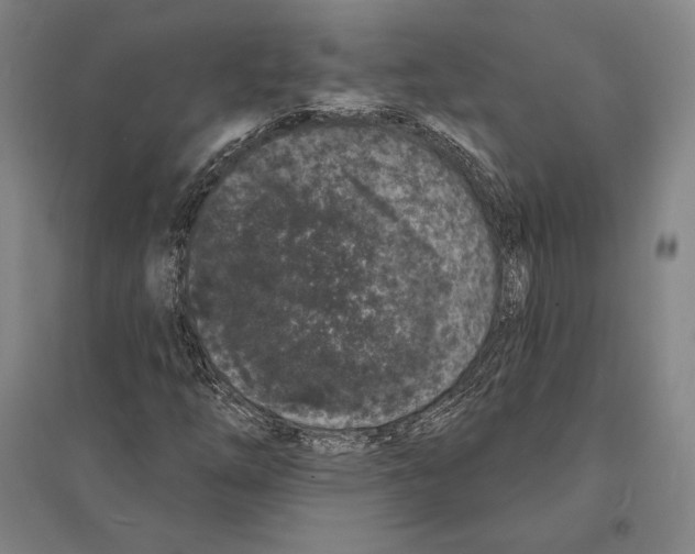 X0000095511254200801111405