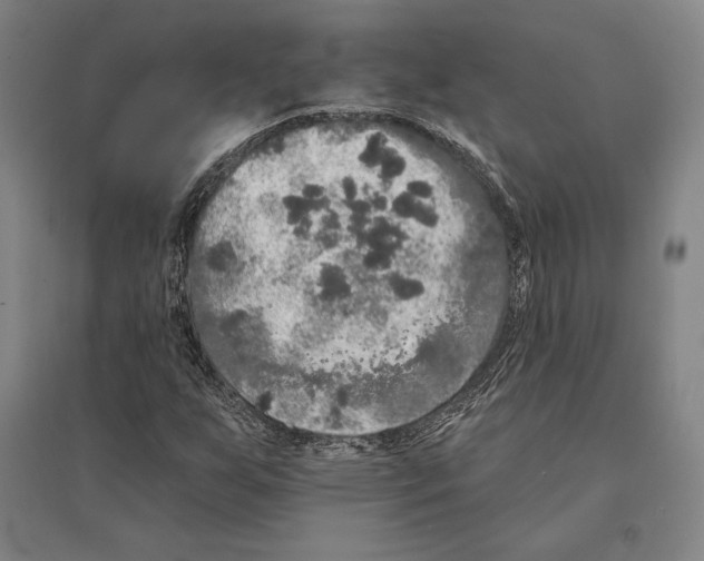 X0000095511255200801111405