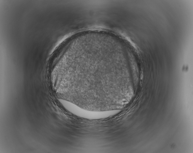X0000095511256200801111405