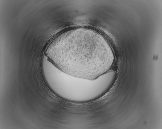 X0000095511257200801111405