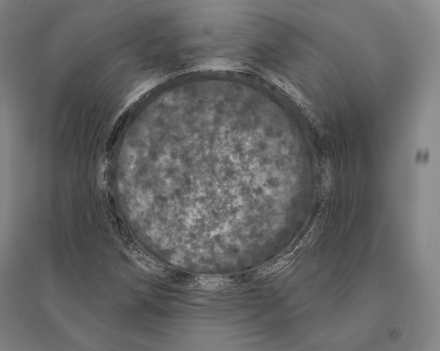 X0000095511258200801111405