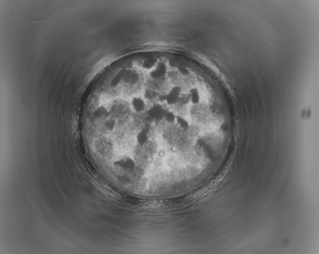 X0000095511259200801111405