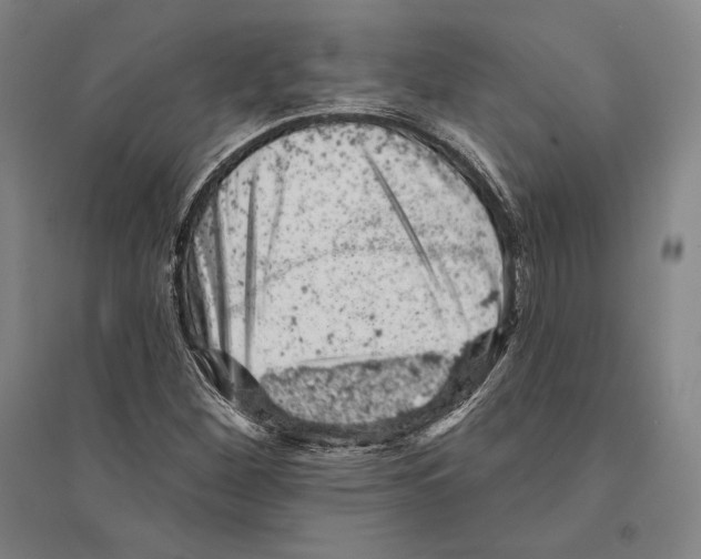 X0000095511260200801111405