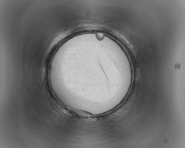 X0000095511261200801111405