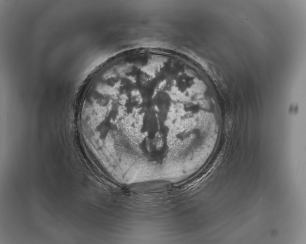X0000095511263200801111405