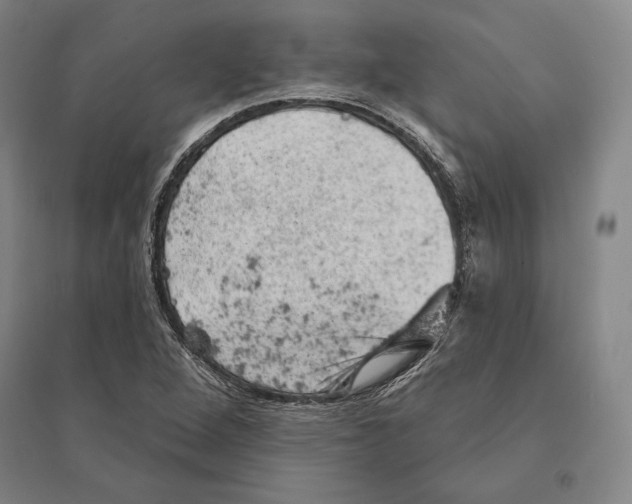 X0000095511264200801111405