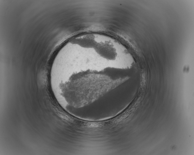 X0000095511266200801111405
