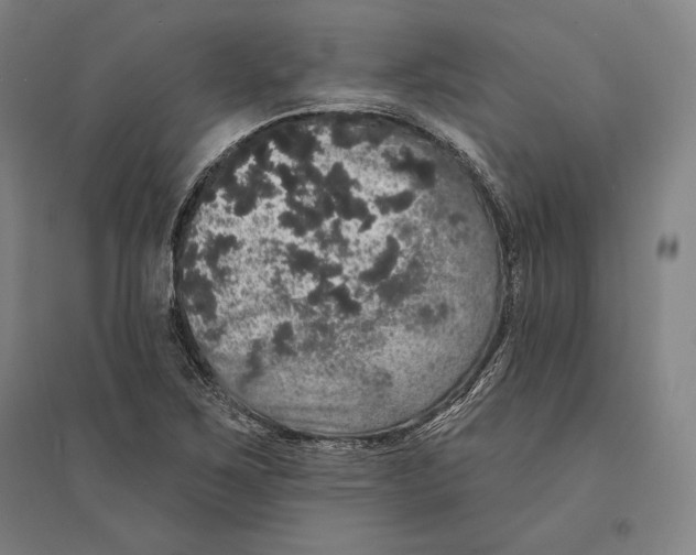X0000095511267200801111405