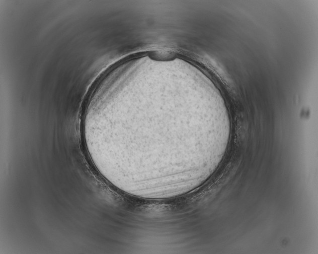 X0000095511268200801111405