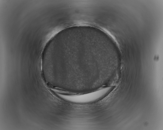 X0000095511269200801111405