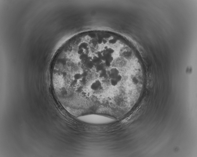 X0000095511271200801111405