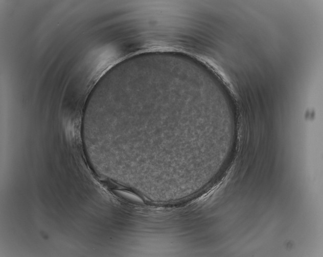 X0000095511273200801111405