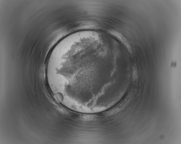 X0000095511274200801111405