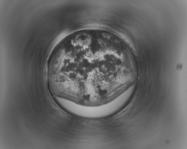 X0000095511275200801111405