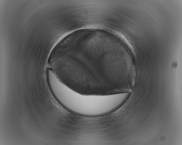 X0000095511276200801111405